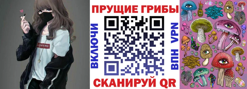 Псилоцибиновые грибы мухоморы  где купить   это какой сайт  Йошкар-Ола 