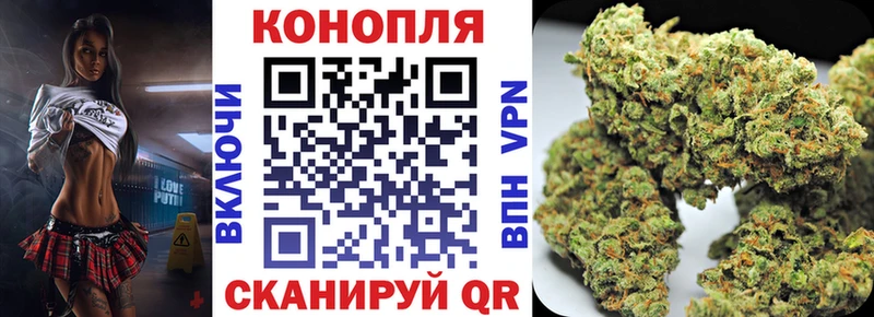 Каннабис сатива  MEGA tor  Йошкар-Ола 